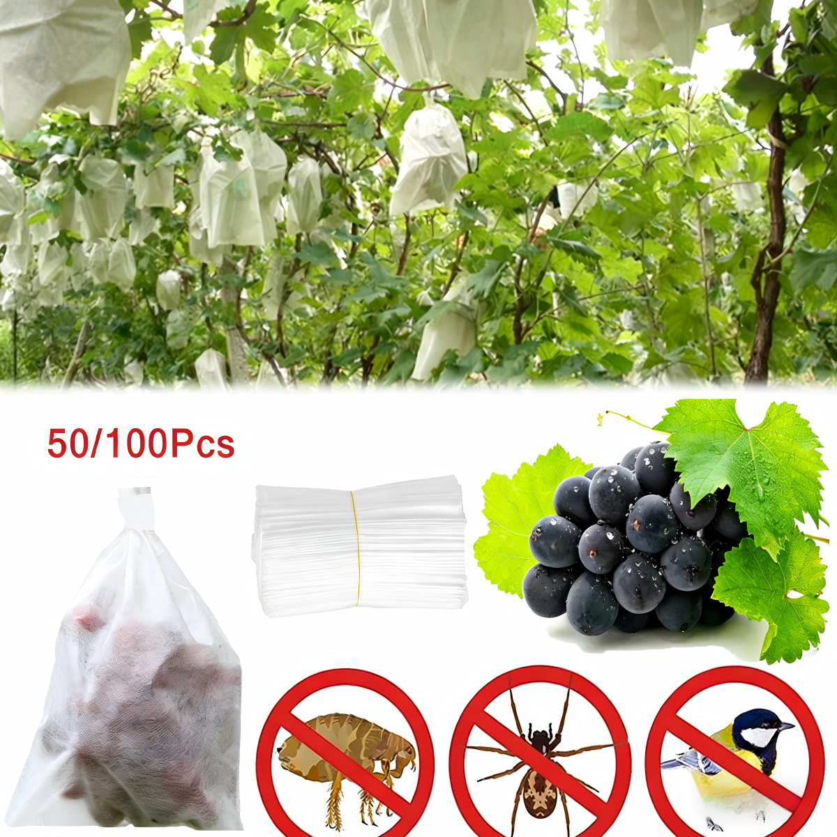 Fruit & Grape Protection Bags -Nonwoven Mesh Anti-Bird & Insect Covers
